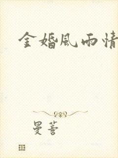 金婚风雨情全集