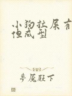 小狗拉屎有点软但成型