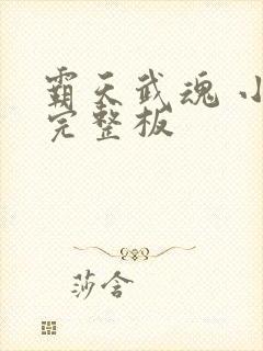 霸天武魂 小说完整板