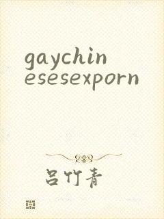 gaychinesesexporn