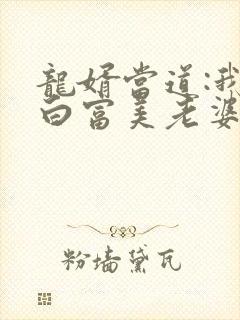 龙婿当道:我的白富美老婆小说