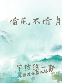 偷风不偷月攻受