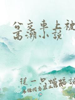 公交车上被摸到高潮小说