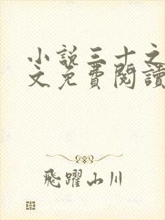 小说三十之妻全文免费阅读