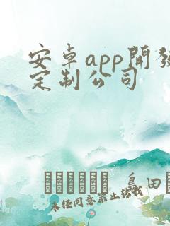 安卓app开发定制公司
