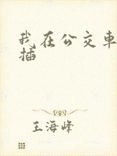 我在公交车上被插