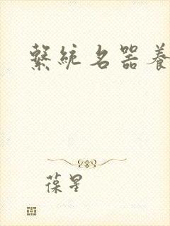 系统名器养成