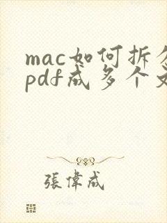 mac如何拆分pdf成多个文件