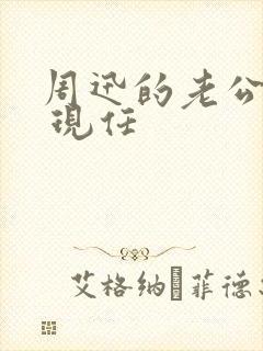 周迅的老公是谁 现任