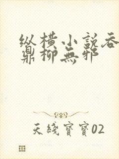 纵横小说吞天神鼎柳无邪