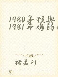 1980年猴与1981年鸡的婚配