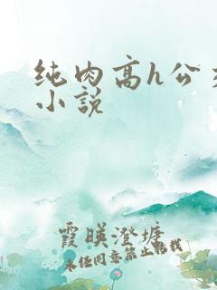 纯肉高h公交车小说