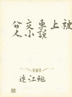 公交车上被陌生人小说