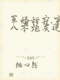 军婚甜宠,穿书八零炮灰逆袭了
