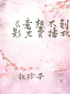 《意想不到》电影免费播放