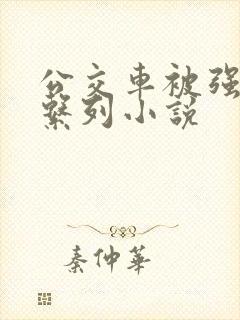 公交车被强dh系列小说
