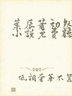 叶辰萧初然有声小说免费听