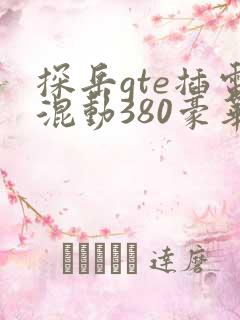 探岳gte插电混动380豪华落地价