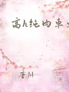 高h纯肉车文