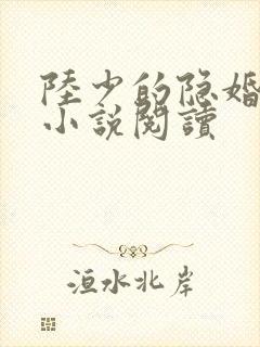 陆少的隐婚罪妻小说阅读