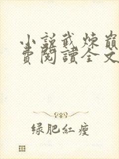小说武炼巅峰免费阅读全文无窗口