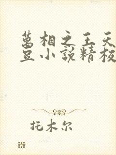 万相之王天蚕土豆小说精校版全集txt