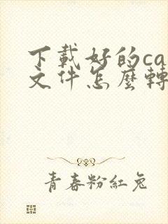 下载好的caj文件怎么转换成pdf