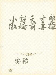 小说天才双宝:傲娇前妻抱回家