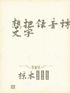 想把录音转化成文字