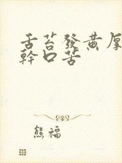 舌苔发黄厚腻口干口苦