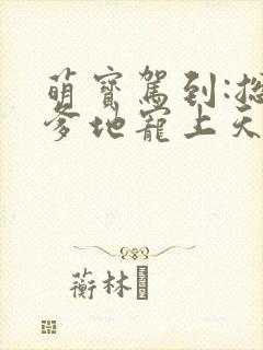 萌宝驾到:总裁爹地宠上天