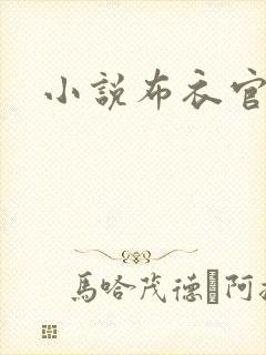 小说布衣官道