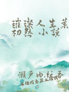 璀璨人生叶辰萧初然 小说