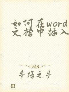 如何在word文档中插入pdf