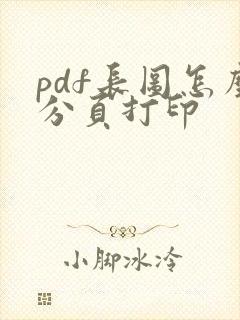 pdf长图怎么分页打印