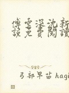 傅云深沈新桐小说免费阅读