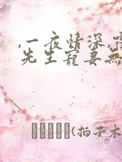 ,一夜情深,霍先生宠妻无度