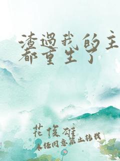 渣过我的主角全都重生了
