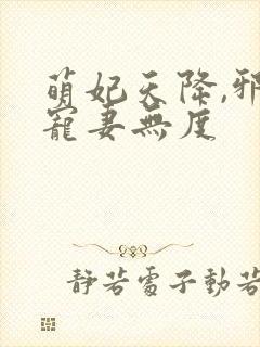 萌妃天降,邪王宠妻无度