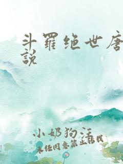 斗罗绝世唐门小说