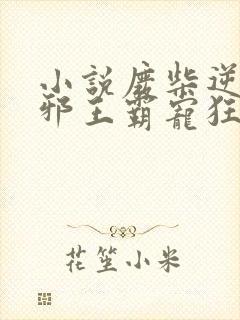 小说废柴逆天:邪王霸宠狂妃