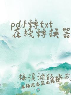 pdf转txt在线转换器