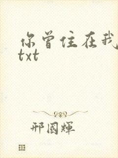你曾住在我心上txt