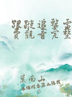 跟踪追击电影免费观看完整版