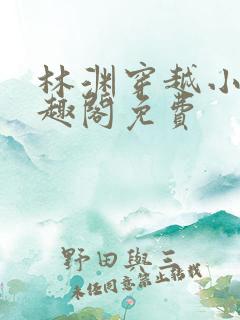 林渊穿越小说笔趣阁免费