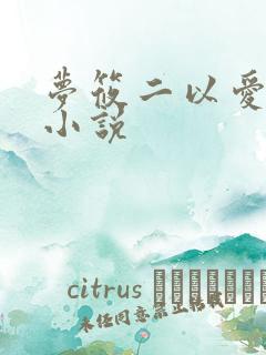 梦筱二以爱为名小说