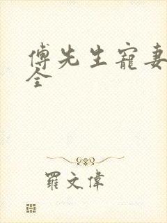 傅先生宠妻无度全