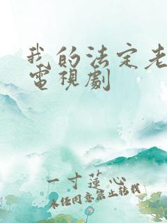 我的法定老公 电视剧