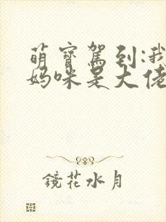 萌宝驾到:我的妈咪是大佬