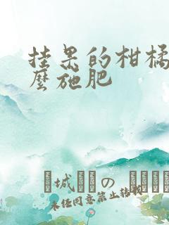 挂果的柑橘树怎么施肥